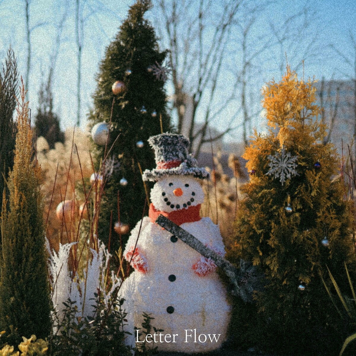 Image Cover